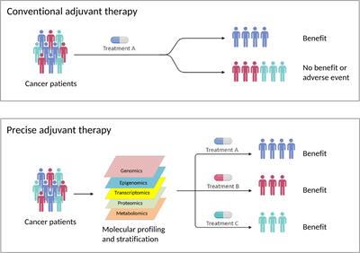 Editorial: Risks and Benefits of Adjuvants to Cancer Therapies